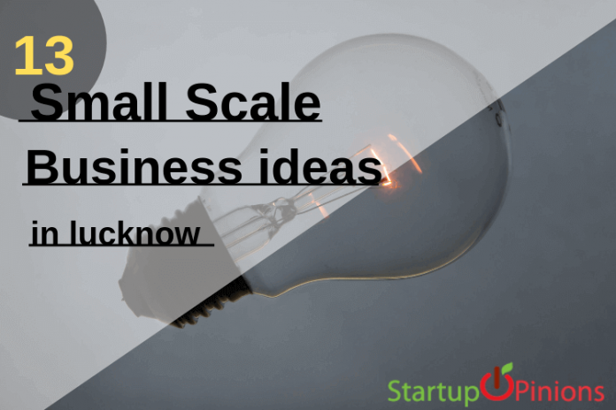 Top 13 Small Scale Business Ideas in lucknow - Startupopinions