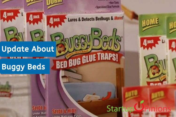 Buggy Beds Update After Shark Tank 2020 Startup Opinions