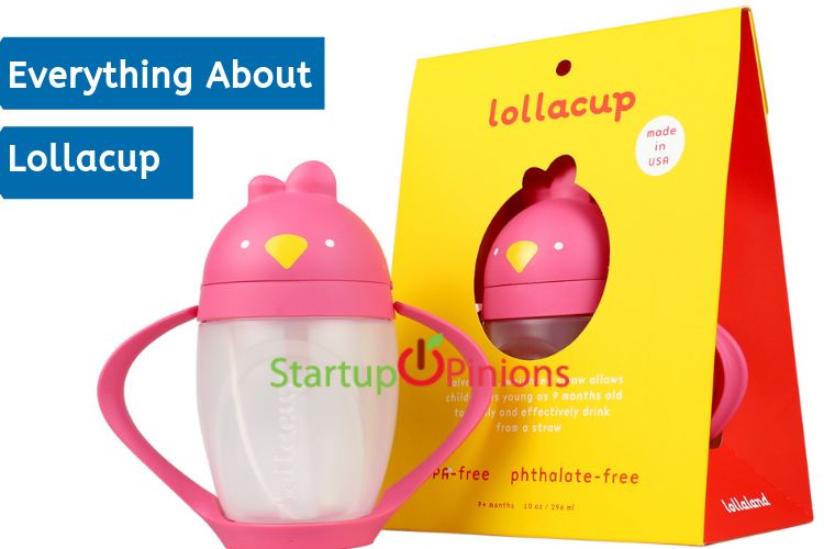 Know Everything About Lollacup 2024 Startup Opinions