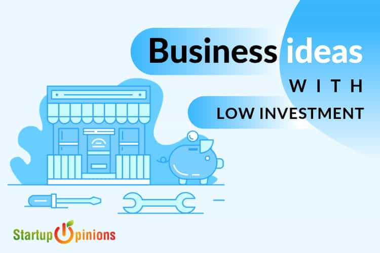 Top 28 Business Ideas with Low Investment: Get Started in 2024 ...