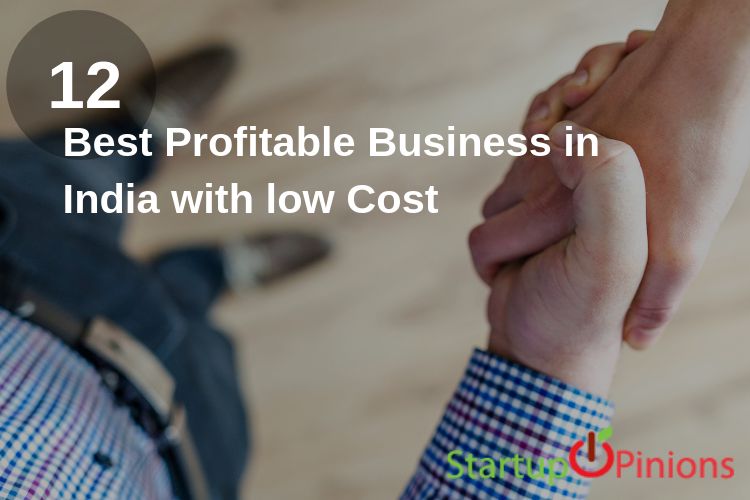 12 Best Profitable Business in India with low Cost Startupopinions